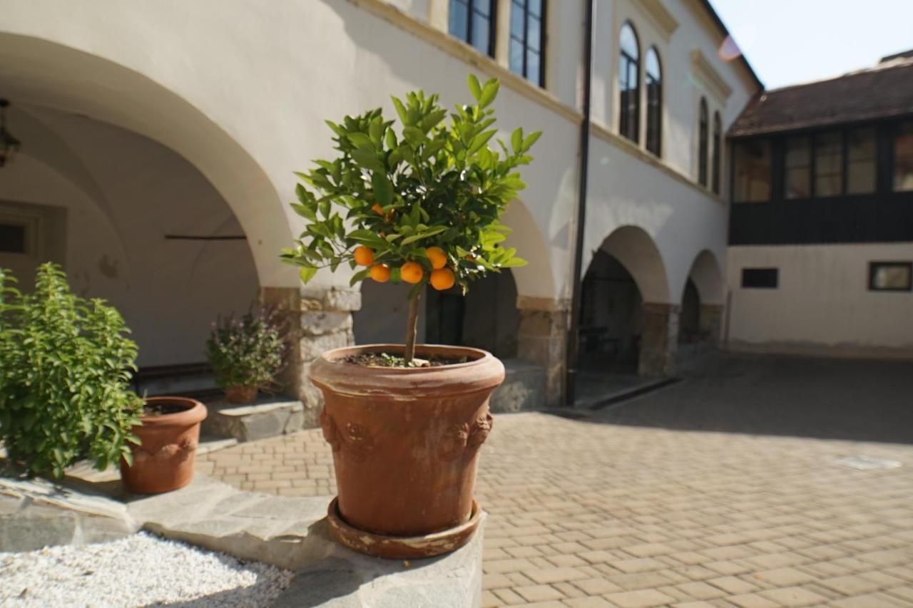 Sobe Prostija Apartment Птуй Екстериор снимка